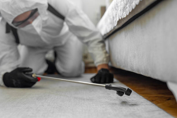 Professional Ant Control technician working in Lacombe, LA