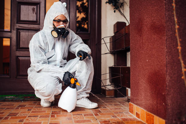 Reliable Ant Control contractor in Lacombe, LA by Show Me Pest Control
